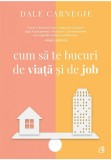 Cumpara ieftin Cum sa te bucuri de viata si de job