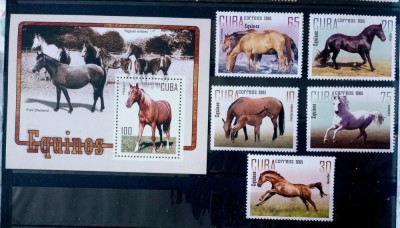 Cuba 2005 cai de rasa ,animale fauna serie+ colita nestampilat foto