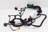 Cablaj ușă dreapta față PORSCHE PANAMERA 971 2018 OEM: 971.971.036,971.974.294.D,971974294D,971.971.734.A,971971036,971971734A 11761568
