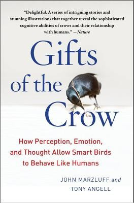 Gifts of the Crow: How Perception, Emotion, and Thought Allow Smart Birds to Behave Like Humans foto