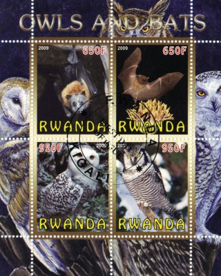 RWANDA 2009 - Bufnite si lilieci foto