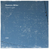 Silent light | Dominic Miller