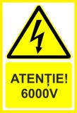 Placuta atentie 6000v