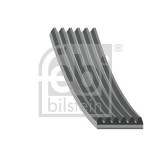 FEBI BILSTEIN 177984 Curea transmisie cu caneluri