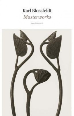 Karl Blossfeldt: Masterworks foto