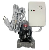 Detector de Gaz cu Electrovalva 220V Roval 3/4&quot;