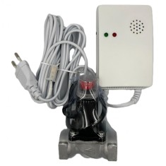 Detector de Gaz cu Electrovalva 220V Roval 3/4&quot;