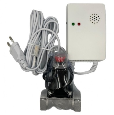 Detector de Gaz cu Electrovalva 220V Roval 3/4&amp;quot; foto