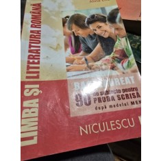 Alina Ene - Limba si literatura romana. Bacalaureat, 90 de subiecte pentru proba scrisa dupa modelul MEN