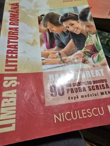 Alina Ene - Limba si literatura romana. Bacalaureat, 90 de subiecte pentru proba scrisa dupa modelul MEN