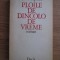 D. R. Popescu - Ploile de dincolo de vreme