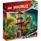 LEGO&reg; Ninjago - Nucleele energetice din Templul Dragonului (71795), LEGO&reg;