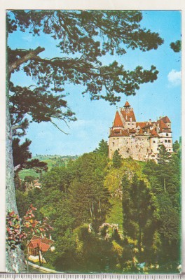 bnk cp Bran - castelul Bran - circulata foto