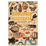 Zoologia ilustrata