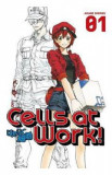 Cells at Work! Vol.1 - Akane Shimizu