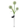 Lampa led incarcare solara 3000k model floare de usturoi, Forever Light