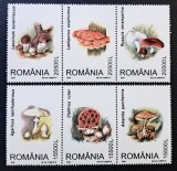 Ciuperci - Rom&acirc;nia 2003 - Set Complet 6 Timbre Individuale Floră &amp; Botanică (Neștampilat) CP1_II