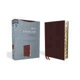 NIV, Thinline Bible, Bonded Leather, Burgundy, Indexed, Red Letter Edition