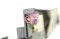 icon 4