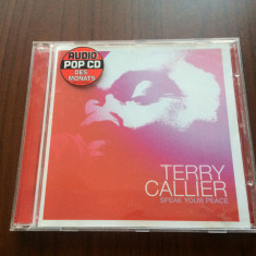 terry callier speak your peace 2002 cd disc muzica acid jazz funk downtempo soul