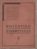 Povestind tineretului - Scriitori ieseni contemporani