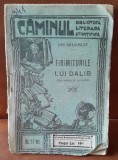 Firimiturile lui Dalib - Ion Dragoslav