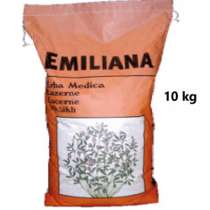 Seminte Lucerna Emiliana 10 kg