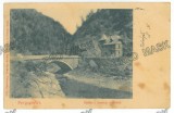 5822 - PETROSANI, Hunedoara, Surduk Pass, Valea Jiului, Bridge, Litho, Romania - old postcard - used - 1906