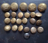 Lot 24 Nasturi Militari RPR