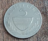 C50 - Moneda foarte veche - Austria ante euro - 5 schillng - 1981, Europa