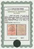 Oradea 1919 eroare seceratori M.P. 10 Bani cu sursarj dublu cu atest Szegedi MNH, Nestampilat