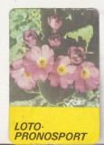 bnk cld Calendar de buzunar - 1984 - Loto Pronosport