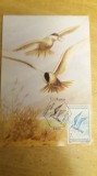 C12 - maxima Romania - tematica pasari 36 - prima zi a emisiunii sau expozitii, Romania de la 1950, Fauna