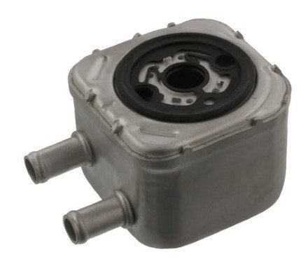 MTR 12191191 Radiator ulei, ulei motor