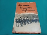FILE RUPTE DIN CARTEA RĂZBOIULUI * GHEORGHE I. BRĂTIANU * 3 4 6