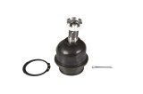 Curea de distributie RENAULT MASTER II bus (JD) (1998 - 2010) RINGER 1141003177
