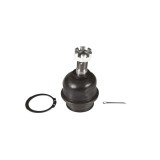 Curea de distributie PEUGEOT BOXER platou / sasiu (ZCT) (1994 - 2002) RINGER 1141003177