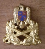 QW14 - Emblema militara / cuc - Uscat - piesa de colectie