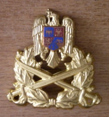 QW14 - Emblema militara / cuc - Uscat - piesa de colectie foto