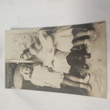 Carte postala Printesa Elisabeta , Printesa Maria si Printul Nicolae