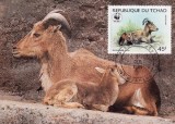C5499 - Ciad 1988 - carte maxima fauna