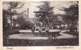 Ploiesti. Gradina Publica (Veche) (1931, necirculata)