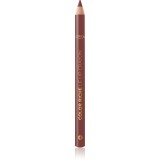 L&rsquo;Or&eacute;al Paris Color Riche creion contur buze culoare 570 Worth It Int 1.2 g