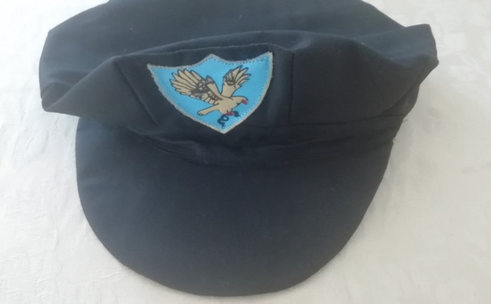 M1 3 - Sapca militara - cu emblema panzata - vultur cu sarpe in cioc