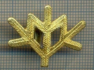 Y 1813 INSIGNA - MILITARA -SEMN DE ARMA -VANATORI DE MUNTE -PENTRU COLECTIONARI foto