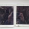 lot 2 IPAD-uri , A1432 si A1490 - pentru piese -
