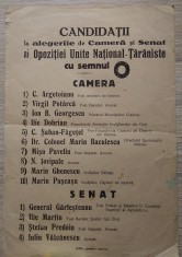 Afi? electoral OPOZI?IA UNITA NA?IONAL - ?ARANISTA, anii 1920 foto