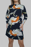 Rochie cu maneca lunga, decupaj la spate si imprimeu cu pasari, multicolor, 38