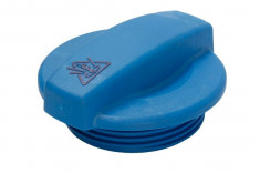 Buson vas expansiune antigel AUDI A4 (8E2, B6) (2000 - 2004) METZGER 2140099 foto
