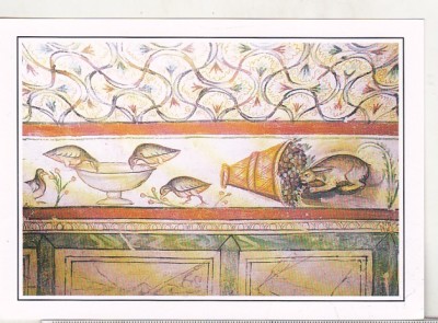 bnk cp Constanta - Muzeul de arheologie - Cavoul-Hypogeu cu pictura - necirculata foto